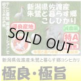 画像: 新潟県佐渡産朱鷺と暮らす郷コシヒカリ（減農薬）　令和５年産２等米　５ｋｇ