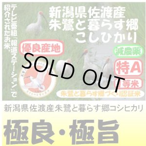 画像: 新潟県佐渡産朱鷺と暮らす郷コシヒカリ（減農薬）　令和５年産２等米　５ｋｇ