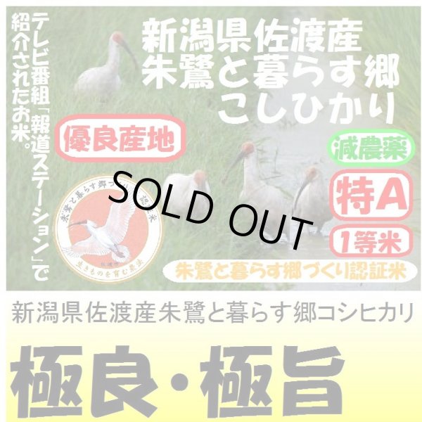 画像1: 新潟県佐渡産朱鷺と暮らす郷コシヒカリ（減農薬）　令和５年産２等米　５ｋｇ (1)