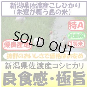 画像: 新潟県佐渡産コシヒカリ（朱鷺・トキが舞う島の米）（減農薬）　令和５年産２等米　２５ｋｇ玄米