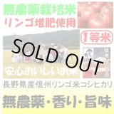 画像: 長野県産信州リンゴ米コシヒカリ（無農薬）　令和６年産新米１等米 お試し米２合（３００ｇ）×２ 全国送料無料！（ポスト投函）