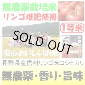 画像: 長野県産信州リンゴ米コシヒカリ（無農薬）　令和４年産１等米　１０ｋｇ