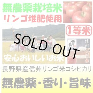 画像: 長野県産信州リンゴ米コシヒカリ（無農薬）　令和６年産新米１等米　１０ｋｇ