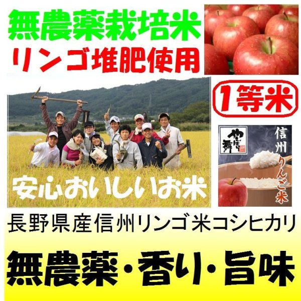 画像1: 長野県産信州リンゴ米コシヒカリ（無農薬）　令和６年産新米１等米<br>お試し米２合（３００ｇ）×２<br>全国送料無料！（ポスト投函） (1)