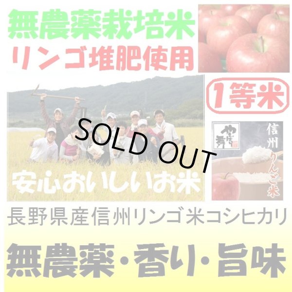 画像1: 長野県産信州リンゴ米コシヒカリ（無農薬）　令和６年産新米１等米<br>お試し米２合（３００ｇ）×２<br>全国送料無料！（ポスト投函） (1)