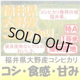 画像: 福井県大野産コシヒカリ　令和５年産１等米　５ｋｇ