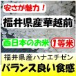 画像1: 福井県産ハナエチゼン　令和６年産新米１等米　３０ｋｇ玄米 (1)