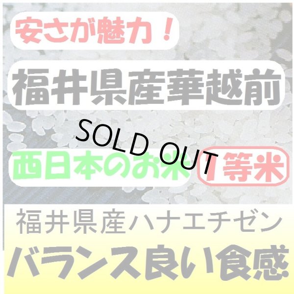 画像1: 福井県産ハナエチゼン　令和６年産新米１等米　３０ｋｇ玄米 (1)