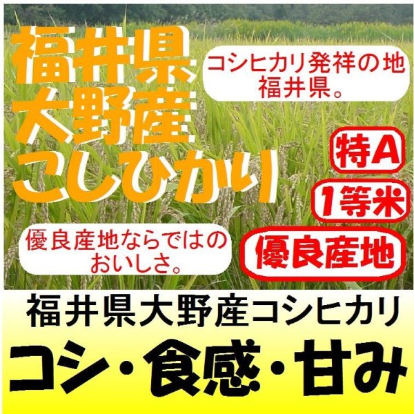 福井県大野産コシヒカリ 令和６年産新米１等米 ３０ｋｇ玄米 - 米専門店つくしや本店