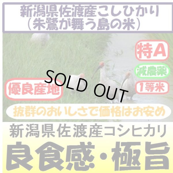 画像1: 新潟県佐渡産コシヒカリ（朱鷺・トキが舞う島の米）（減農薬）　令和５年産２等米　５ｋｇ (1)