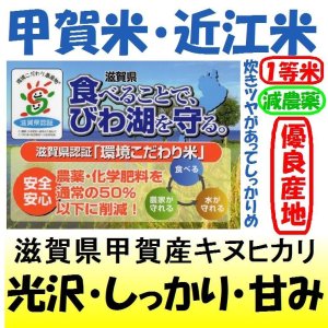 画像: 滋賀県甲賀産キヌヒカリ（減農薬）（近江米）　令和５年産１等米　２５ｋｇ玄米