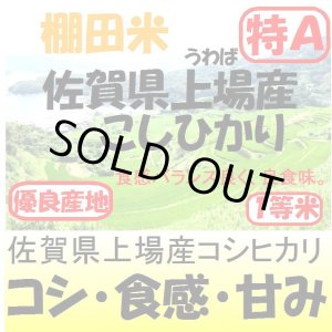 画像: 佐賀県上場産コシヒカリ（棚田米）　令和６年産１等米 お試し米２合（３００ｇ）×２ 全国送料無料！メール便（ポスト投函）！