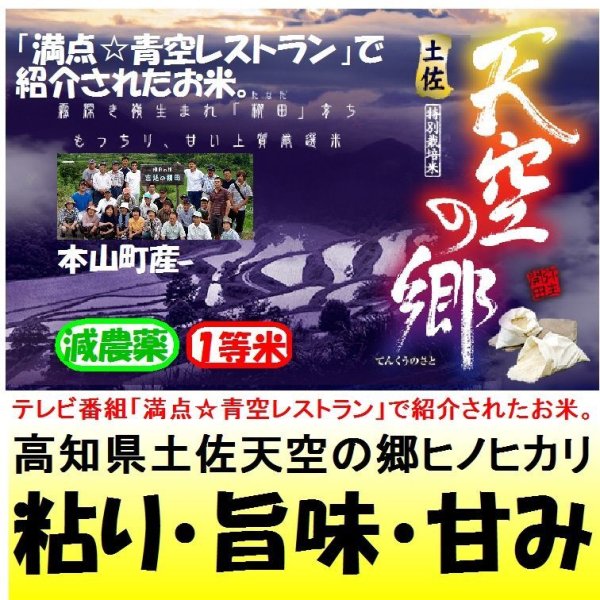 画像1: 高知県土佐天空の郷ヒノヒカリ（減農薬）　令和６年産１等米<br>お試し米２合（３００ｇ）×２<br>全国送料無料！（ポスト投函） (1)