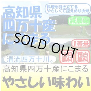 画像: 高知県四万十産にこまる（減農薬）　令和６年産１等米・特Ａ米 お試し米２合（３００ｇ）×２ 全国送料無料！（ポスト投函）