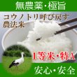 画像1: 福井県産コウノトリ呼び戻す農法米コシヒカリ（無農薬）　令和６年産１等米 お試し米２合（３００ｇ）×２ 全国送料無料！メール便（ポスト投函）！ (1)