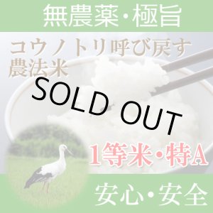 画像: 福井県産コウノトリ呼び戻す農法米コシヒカリ（無農薬）　令和６年産１等米 お試し米２合（３００ｇ）×２ 全国送料無料！メール便（ポスト投函）！