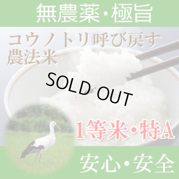 画像1: 福井県産コウノトリ呼び戻す農法米コシヒカリ（無農薬）　令和６年産１等米　１０ｋｇ (1)