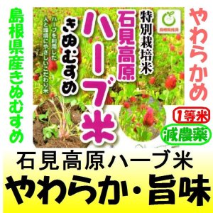 画像: 石見高原ハーブ米島根県産きぬむすめ（減農薬）　令和６年産１等米・特Ａ米　３０ｋｇ玄米