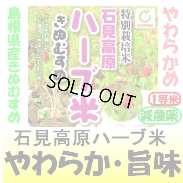 画像1: 石見高原ハーブ米島根県産きぬむすめ（減農薬）　令和５年産１等米・特Ａ米　３０ｋｇ玄米 (1)