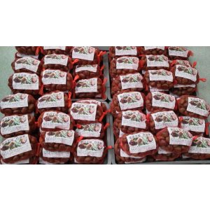画像: 丹波栗　Ｌ　１ｋｇ　丹波篠山産