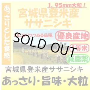 画像: 宮城県登米産ササニシキ（減農薬）　令和６年産１等米 お試し米２合（３００ｇ）×２ 全国送料無料！メール便（ポスト投函）！