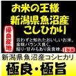 画像1: 新潟県魚沼産コシヒカリ　令和５年産2等米・特Ａ米 お試し米２合（３００ｇ）×２ 全国送料無料！（ポスト投函） (1)