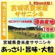 画像1: 宮城県登米産ササニシキ（減農薬）　令和６年産１等米　１０ｋｇ (1)