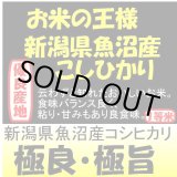 画像: 新潟県魚沼産コシヒカリ　令和６年産新米１等米・特Ａ米　１０ｋｇ