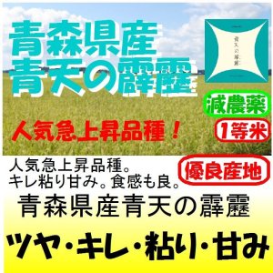 画像: 青森県田舎館村産青天の霹靂（減農薬） 令和６年産１等米・特Ａ米 ３０ｋｇ玄米