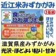 画像1: 滋賀県産みずかがみ（減農薬）（近江米）　令和４年産１等米　３０ｋｇ玄米 (1)