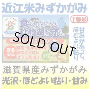 画像: 滋賀県産みずかがみ（減農薬）（近江米）　令和４年産１等米　３０ｋｇ玄米