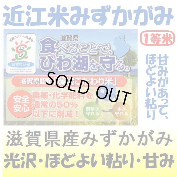 画像1: 滋賀県産みずかがみ（減農薬）（近江米）　令和４年産１等米　３０ｋｇ玄米 (1)