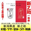 画像1: 新潟県産　新之助　令和５年産１等米 お試し米２合（３００ｇ）×２ 全国送料無料！（ポスト投函） (1)