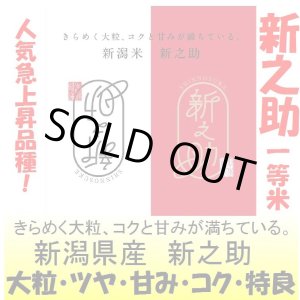 画像: 新潟県産　新之助　令和５年産１等米　２５ｋｇ玄米