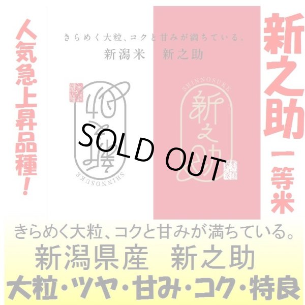 画像1: 新潟県産　新之助　令和５年産１等米　３０ｋｇ玄米 (1)