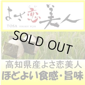 画像: 高知県産よさ恋美人　令和５年産１等米　５ｋｇ