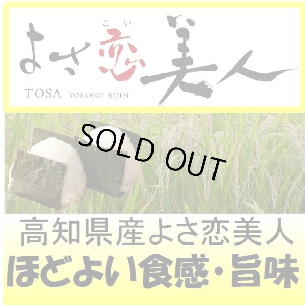 画像1: 高知県産よさ恋美人　令和６年産新米２等米　１０ｋｇ (1)