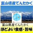 画像1: 富山県産てんたかく　令和３年産１等米　３０ｋｇ玄米 (1)