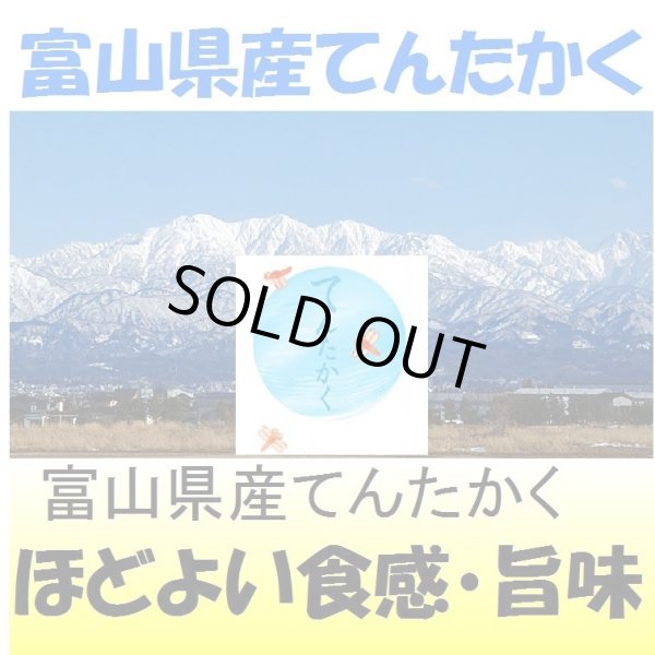 画像1: 富山県産てんたかく　令和３年産１等米　３０ｋｇ玄米 (1)