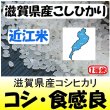 画像1: 滋賀県甲賀産コシヒカリ（近江米）　令和３年産１等米 お試し米２合（３００ｇ）×２ 全国送料無料！（ポスト投函） (1)