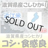 画像: 滋賀県甲賀産コシヒカリ（近江米）　令和３年産１等米 お試し米２合（３００ｇ）×２ 全国送料無料！（ポスト投函）