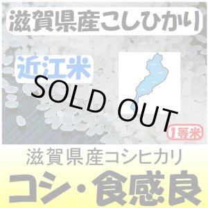 画像: 滋賀県甲賀産コシヒカリ（近江米）　令和３年産１等米　５ｋｇ