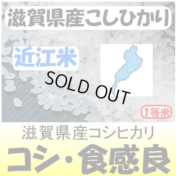 画像1: 滋賀県甲賀産コシヒカリ（近江米）　令和３年産１等米　５ｋｇ (1)