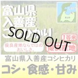 画像: 富山県入善産コシヒカリ　令和６年産新米１等米 お試し米２合（３００ｇ）×２ 全国送料無料！（ポスト投函）