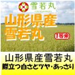 画像1: 山形県産　雪若丸　令和４年産１等米・特Ａ米　５ｋｇ (1)