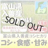 画像: 富山県入善産コシヒカリ　令和５年産１等米　５ｋｇ