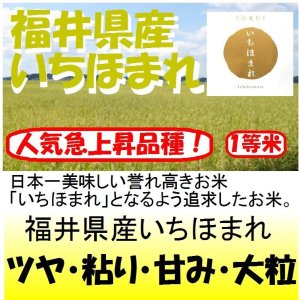 画像: 福井産産いちほまれ　令和７年産新米１等米　１０ｋｇ