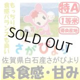 画像: 佐賀県白石産さがびより　令和３年産１等米・特Ａ米　１０ｋｇ