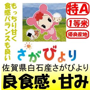 画像: 佐賀県白石産さがびより　令和６年産１等米・特Ａ米　１０ｋｇ