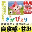 画像1: 佐賀県白石産さがびより　令和３年産１等米・特Ａ米 お試し米２合（３００ｇ）×２ 全国送料無料！（ポスト投函） (1)